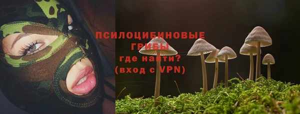 2c-b Новозыбков