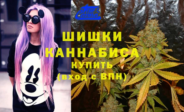 Альфа ПВП Нефтекумск