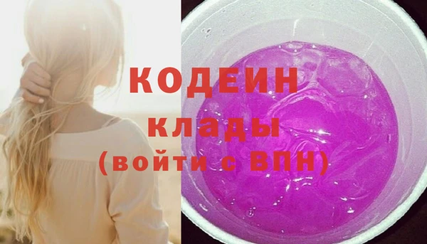 2c-b Новозыбков