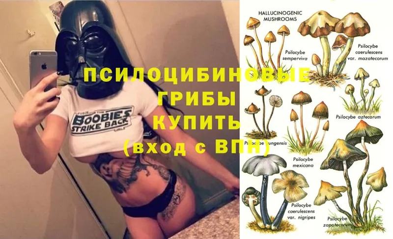 что такое наркотик  Исилькуль  кракен ТОР  Псилоцибиновые грибы Psilocybe 